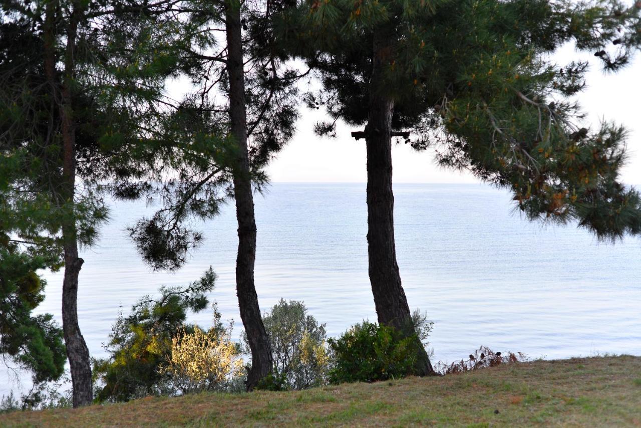Summerday Villa Private Beach نيا إيراكليا المظهر الخارجي الصورة