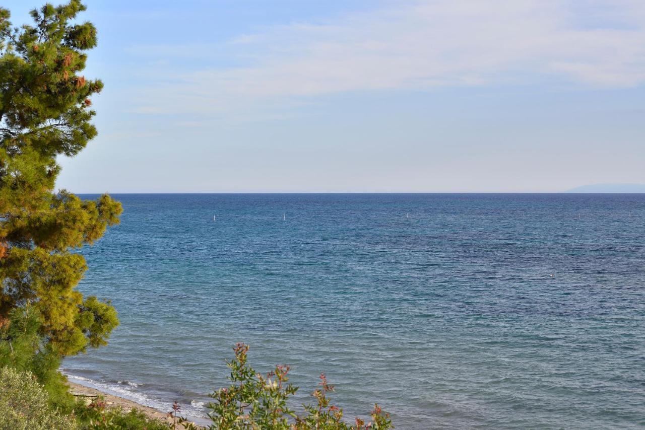 Summerday Villa Private Beach نيا إيراكليا المظهر الخارجي الصورة
